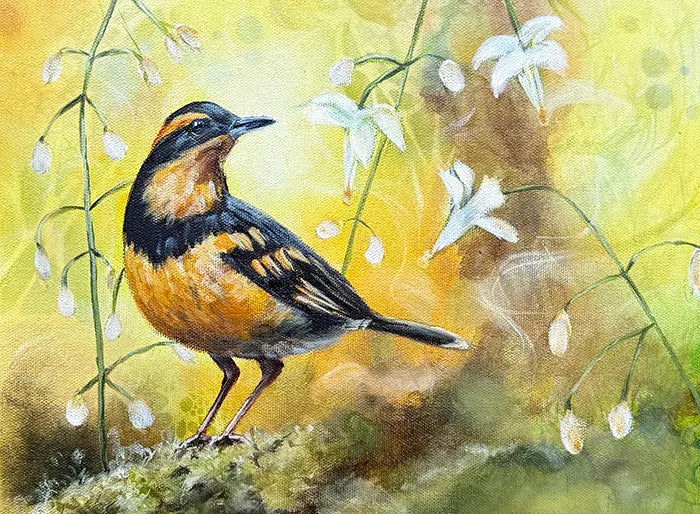 Varied Thrush with Inside Out Flowers