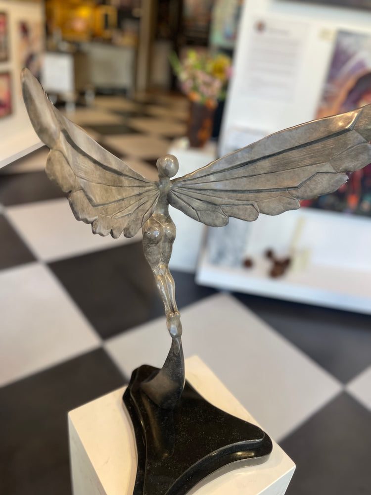 Soaring