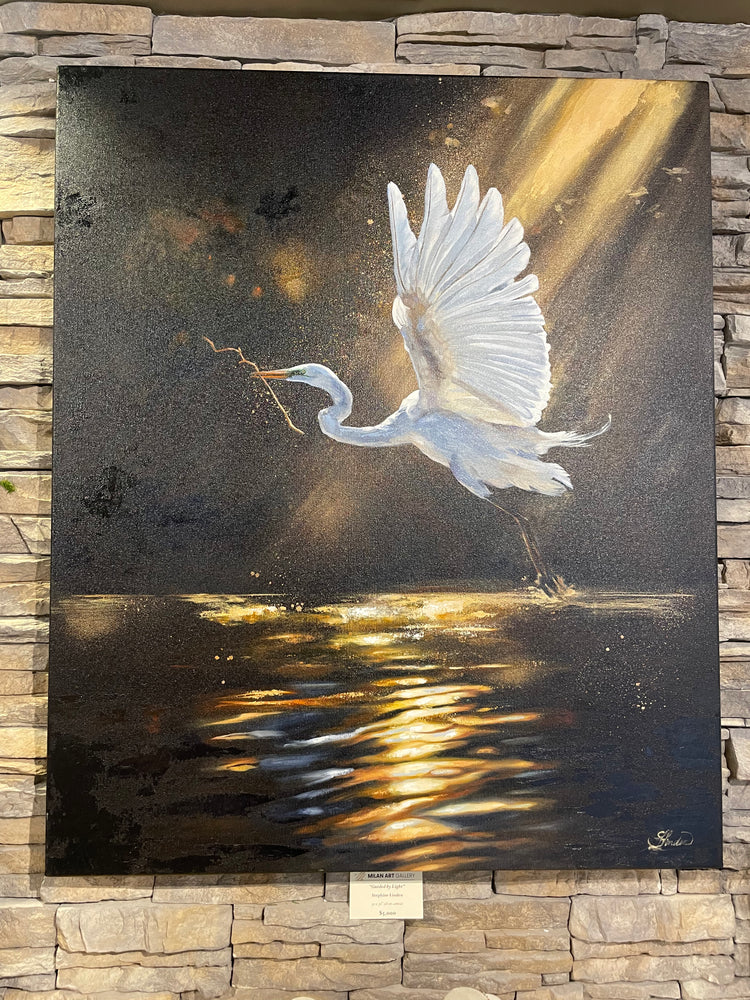 guided by light