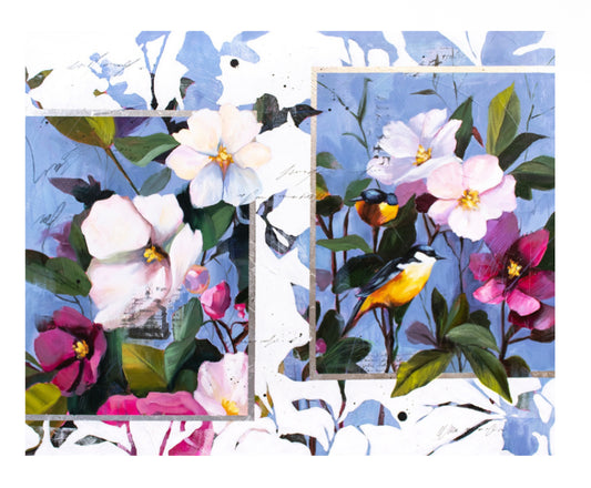 “Where We’ ve Been, Where We’ll Go ”