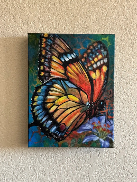 Portrait of a Butterfly