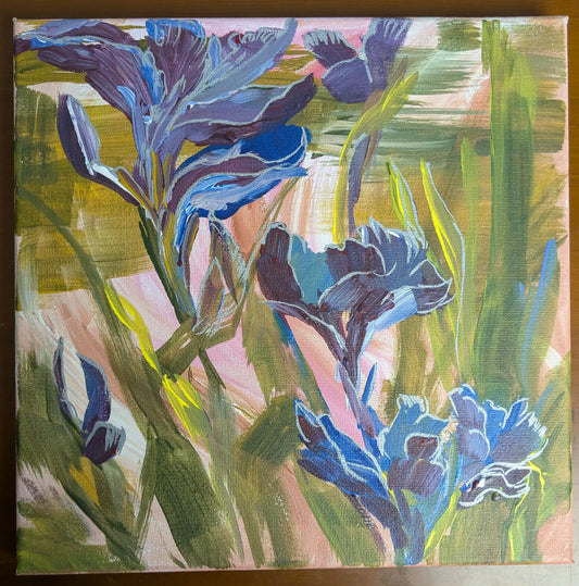 Irises at Fort Worth Botanical Gardens