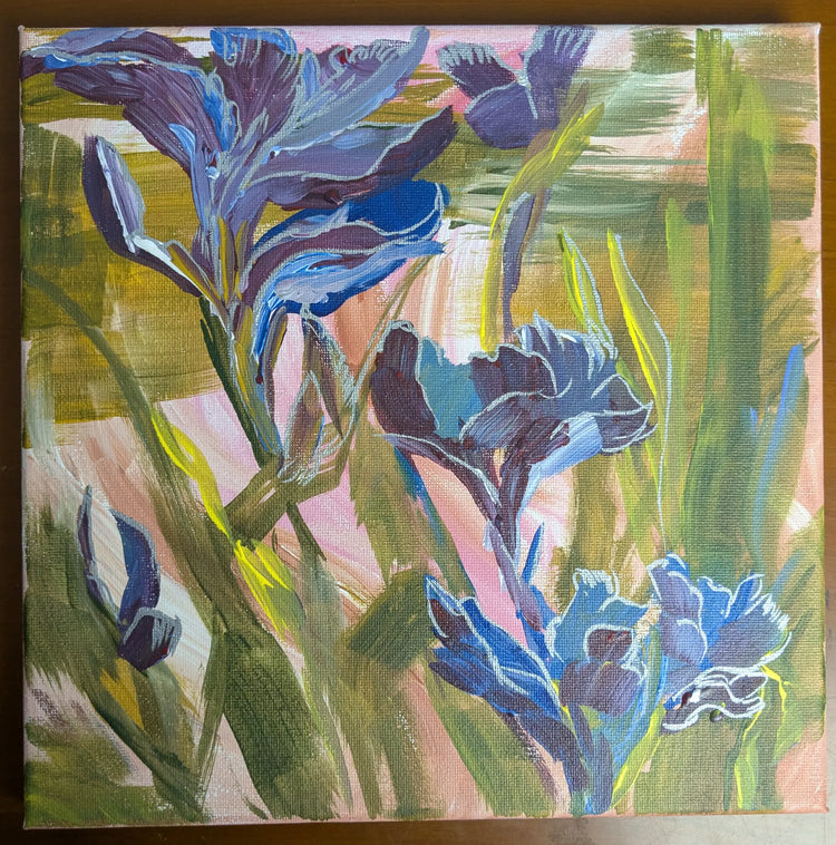 Irises at Fort Worth Botanical Gardens