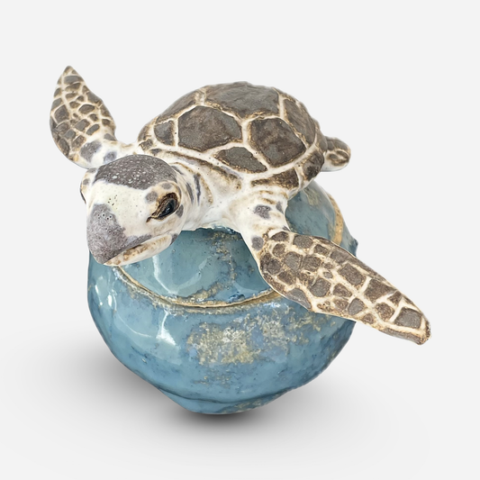 Turtle Jewelry Box in Ocean Blue