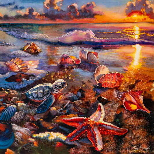 Sea of Possibilities