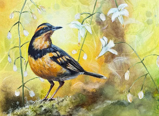 Varied Thrush with Inside Out Flowers