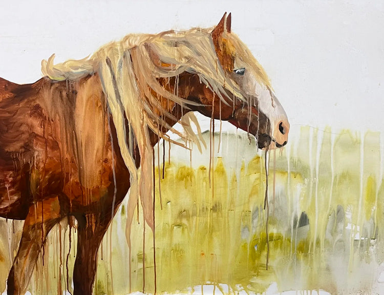 Unbridled spirit