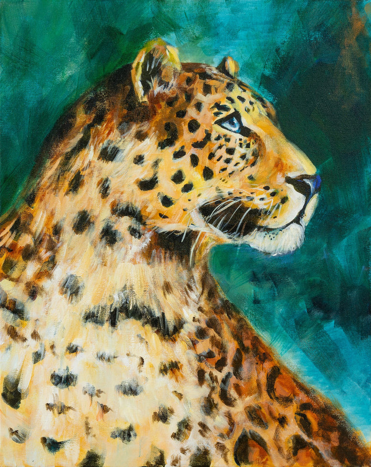 Animal Challenge by Eleanor Birch