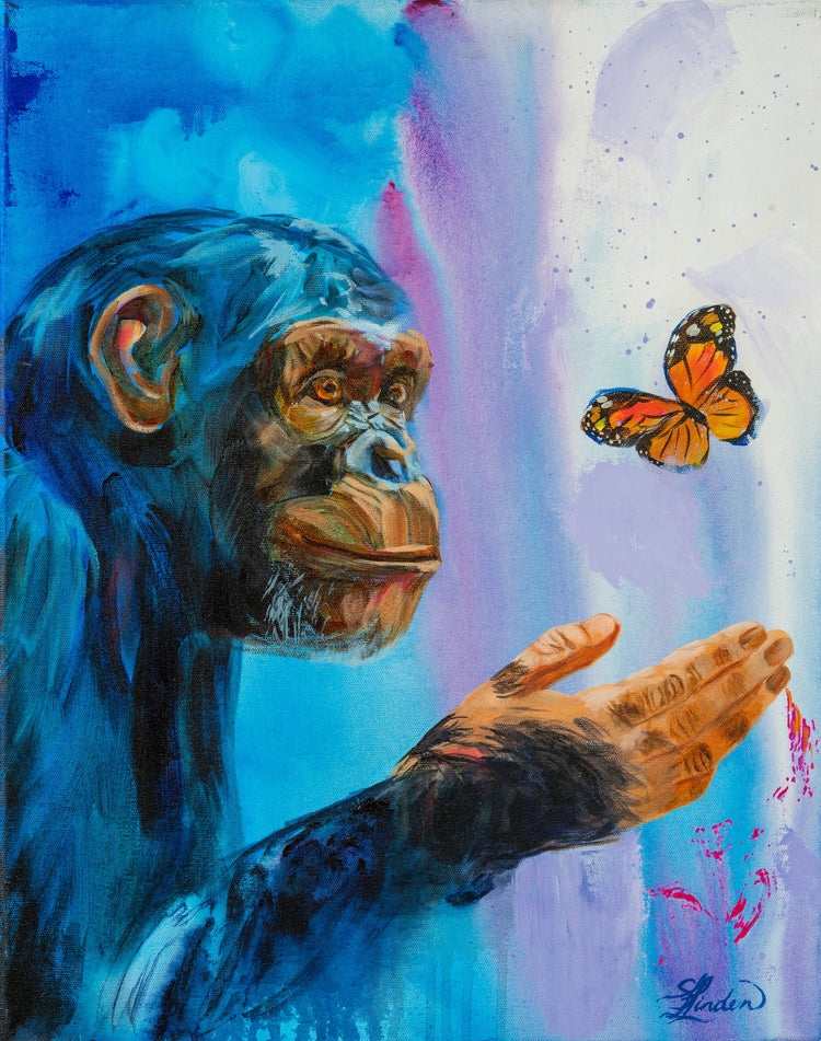 animal challenge Stephanie Linden