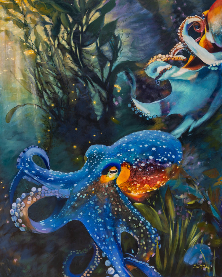 Between Ember and Tide