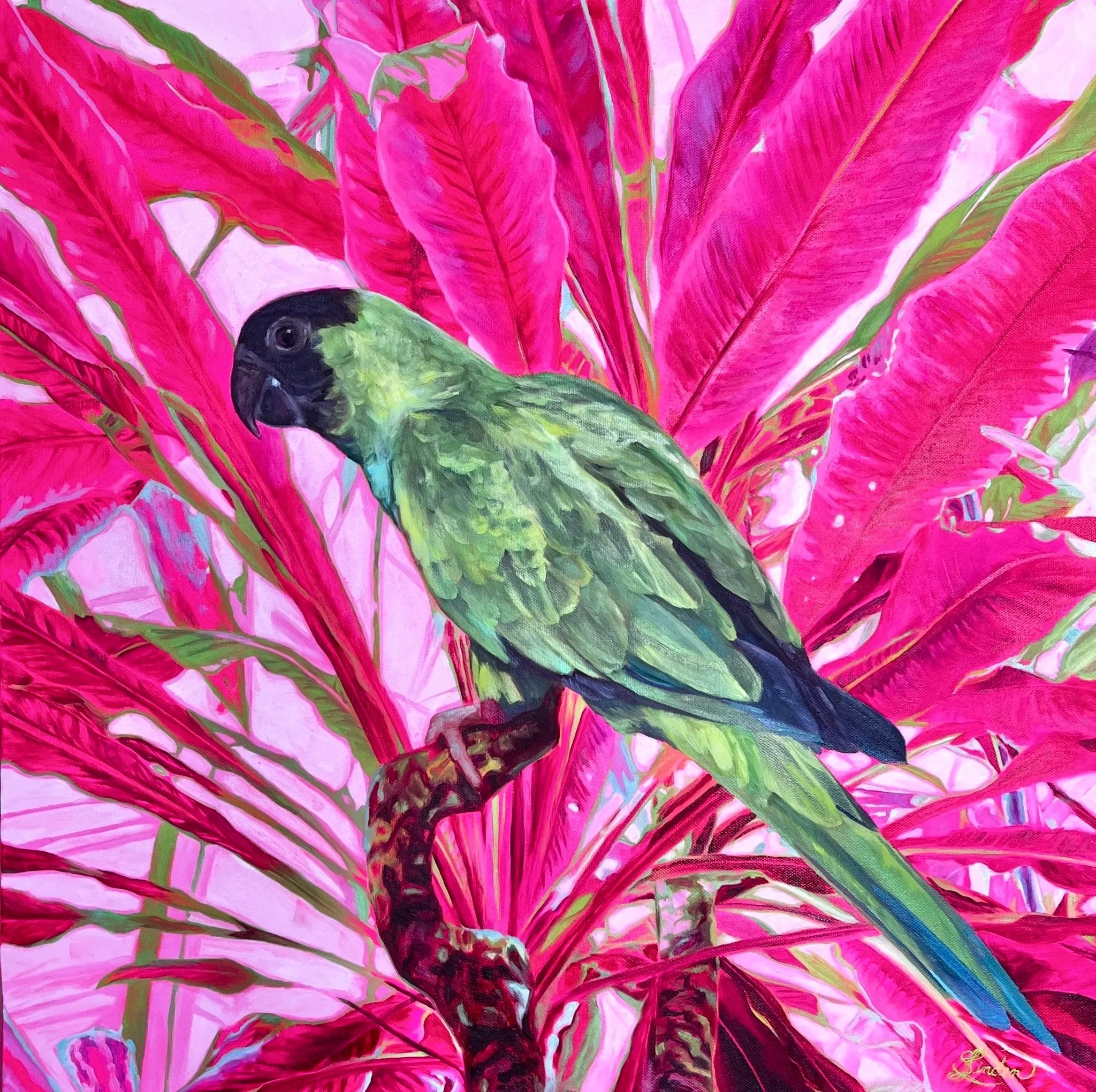 Pinkus
