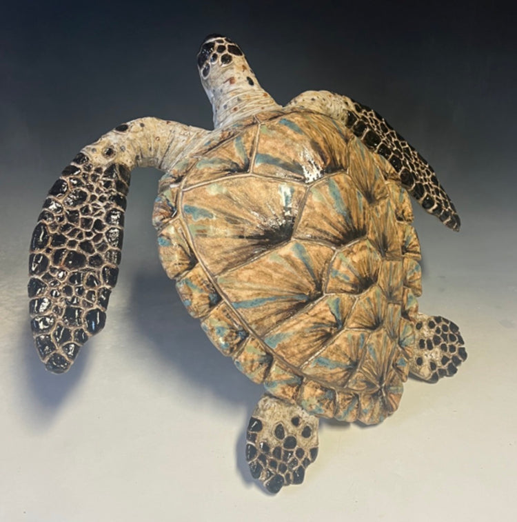 Large Marbled Wall Turtle