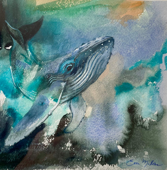 Maui Diver