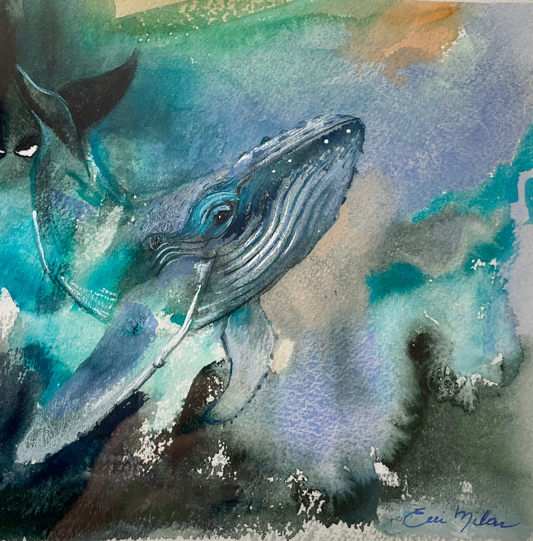 Maui Diver