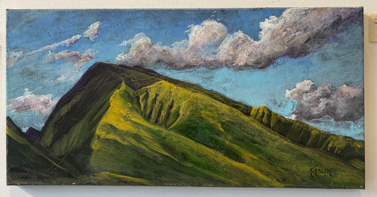 Study of West Maui Mountains