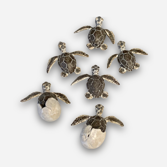 Hatching Green Wall Turtle