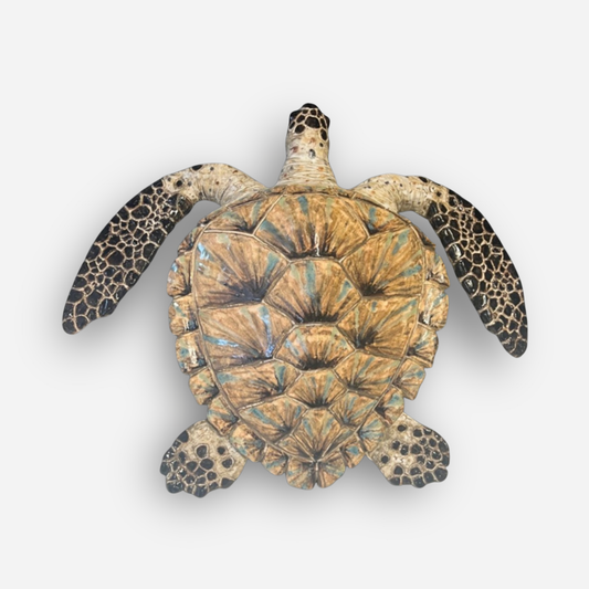 Large Marbled Wall Turtle