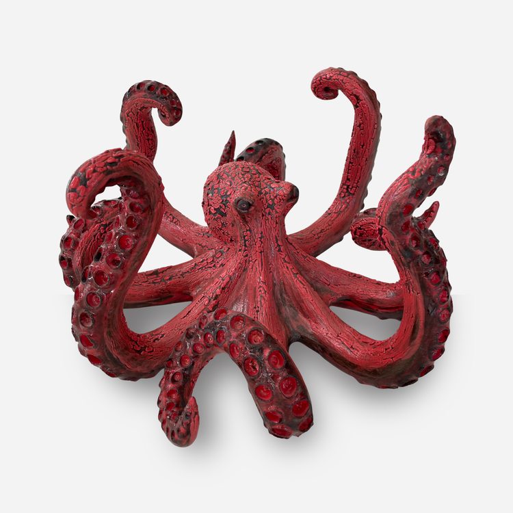 Large Pacific Red Octopus