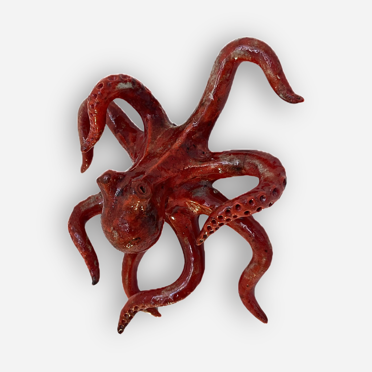 Small Wall Hanging Octopus